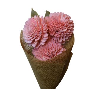 Dahlia Coral Pink
