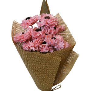 Germini Flower Coral Pink