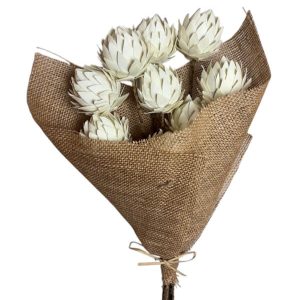 Palm Artichoke Bleached Natural
