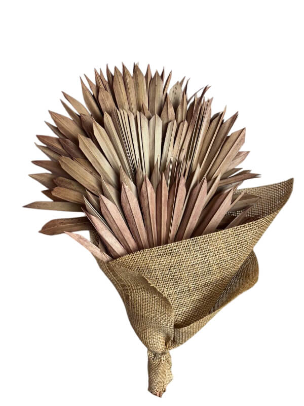 Palm Sun Spear Old Pink