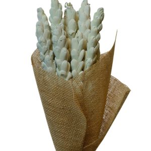 Shola Pineapple Sage Green