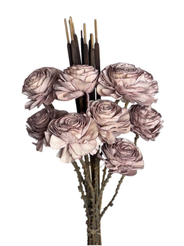 Beauty Rose Old Pink