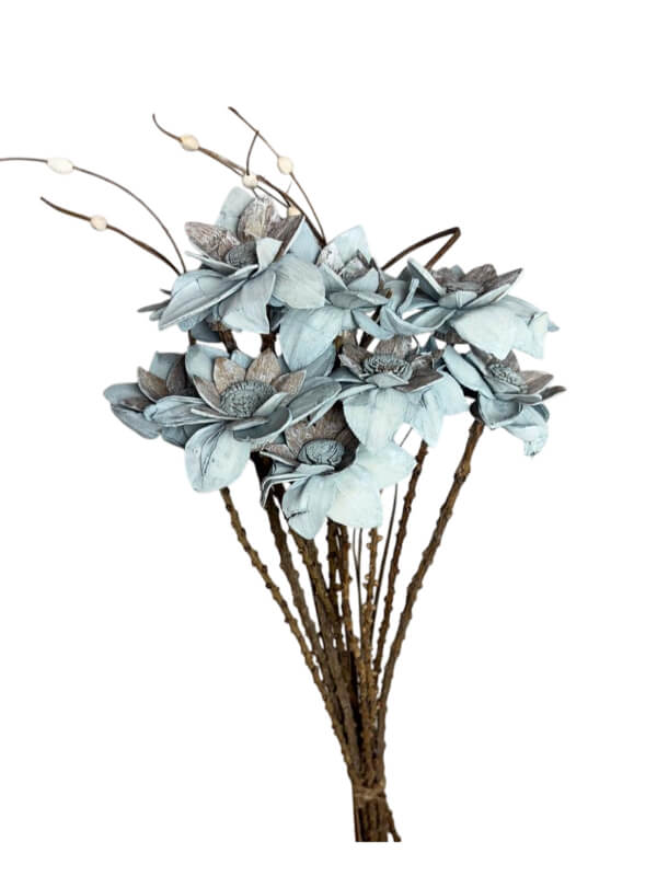 Flannel Flower Grey